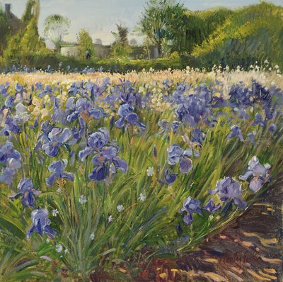 Above the Blue Irises by Timothy Easton